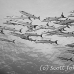barracuda_blackfin_jr_h_0705_png0320.jpg